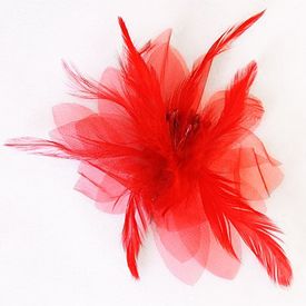 Feathers w Beaded Center Red