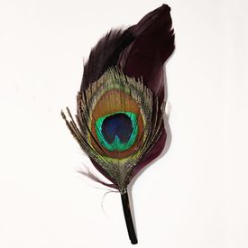 Fluerettes Peacock Feather Plum