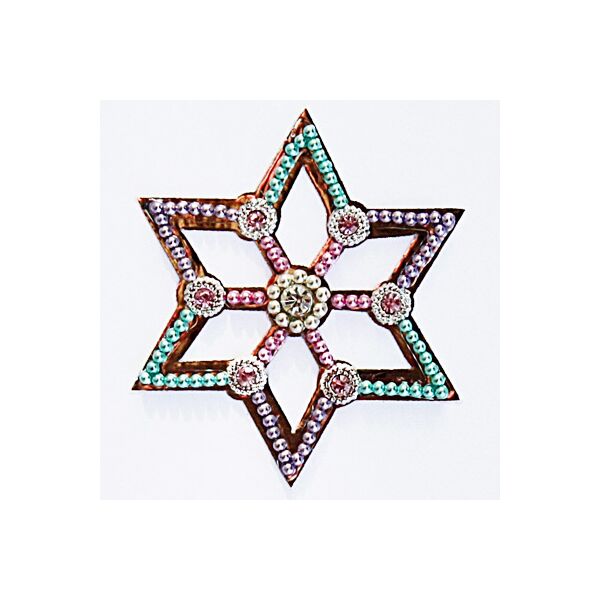 Jewelry Star Teal & Pink